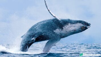 Bitcoin Dump Saw Exchange Inflow Jump Over 1,000%, Whale Address Sells 2,700 Coins, F2pool Hawks 3,633 BTC 2 Bitcoin Dump Saw Exchange Inflow Jump Over 1,000%, Whale Address Sells 2,700 Coins, F2pool Hawks 3,633 BTC