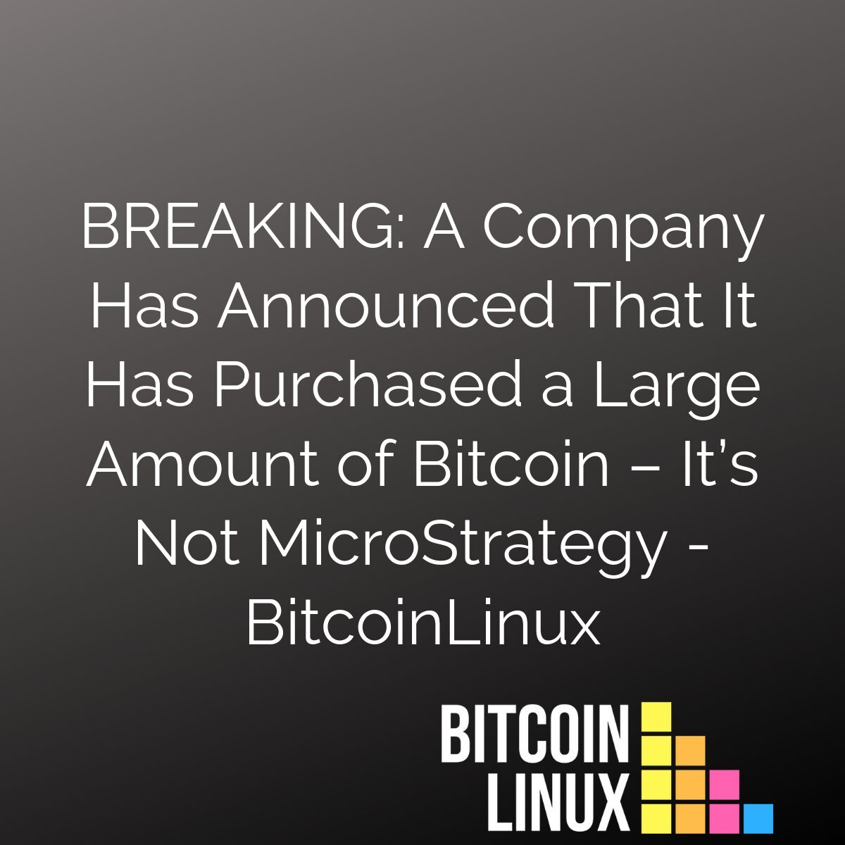 BREAKING: A Company Has Announced That It Has Purchased a Large Amount of Bitcoin – It’s Not MicroStrategy 1 wp to social pro text to image 56b04cfc5f